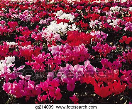 Stock Photo - nature, landscape, scenery, scene, outdoor, exterior, day. Fotosearch