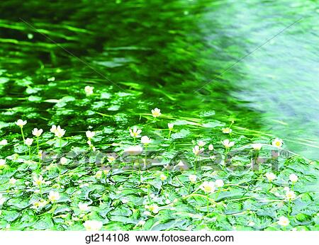 nature, landscape, scenery, scene, outdoor, exterior, day View Large Photo Image Stock Photo - nature, landscape, scenery, scene, outdoor, exterior, day. Fotosearch