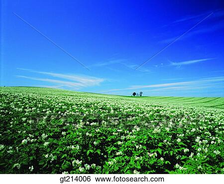 Stock Photograph - nature, landscape, scenery, scene, outdoor, exterior, day. Fotosearch