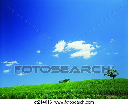 nature, landscape, scenery, scene, outdoor, exterior, day View Large Photo Image Stock Photograph - nature, landscape, scenery, scene, outdoor, exterior, day. Fotosearch