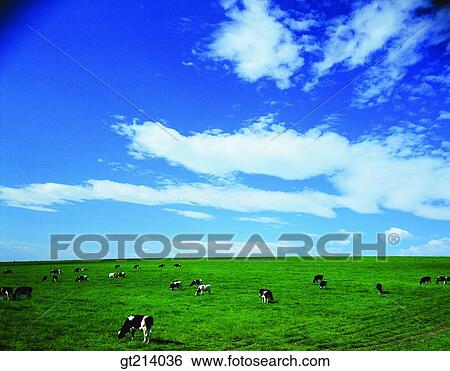 Stock Photograph - nature, landscape, scenery, scene, outdoor, exterior, day. Fotosearch