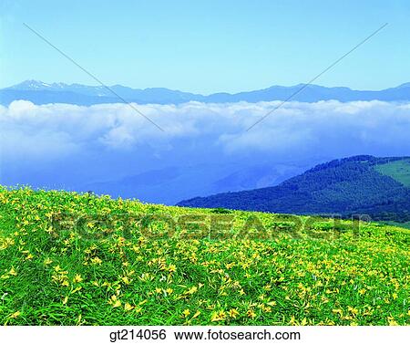 nature, landscape, scenery, scene, outdoor, exterior, day View Large Photo Image Stock Photograph - nature, landscape, scenery, scene, outdoor, exterior, day. Fotosearch