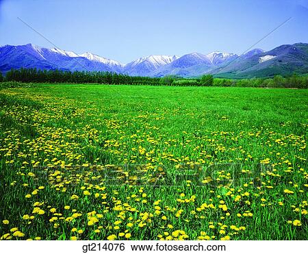 nature, landscape, scenery, scene, outdoor, exterior, day View Large Photo Image Stock Photograph - nature, landscape, scenery, scene, outdoor, exterior, day. Fotosearch