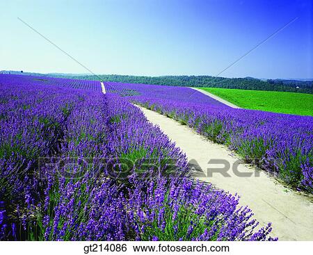 nature, landscape, scenery, scene, outdoor, exterior, day View Large Photo Image Stock Photograph - nature, landscape, scenery, scene, outdoor, exterior, day. Fotosearch