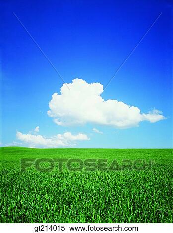 nature, landscape, scenery, scene, outdoor, exterior, day View Large Photo Image Stock Photography - nature, landscape, scenery, scene, outdoor, exterior, day. Fotosearch