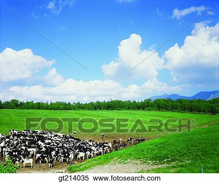 nature, landscape, scenery, scene, outdoor, exterior, day View Large Photo Image Stock Photography - nature, landscape, scenery, scene, outdoor, exterior, day. Fotosearch