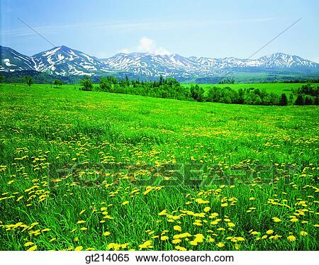 nature, landscape, scenery, scene, outdoor, exterior, day View Large Photo Image Stock Photography - nature, landscape, scenery, scene, outdoor, exterior, day. Fotosearch