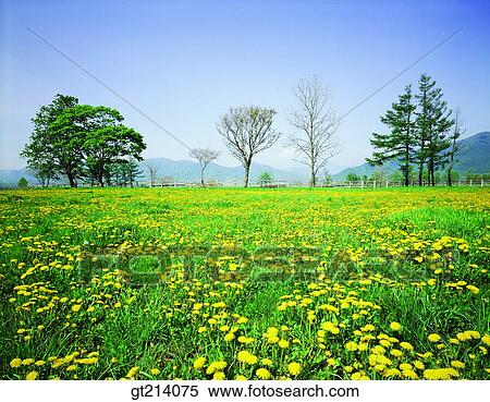 nature, landscape, scenery, scene, outdoor, exterior, day View Large Photo Image Stock Photography - nature, landscape, scenery, scene, outdoor, exterior, day. Fotosearch