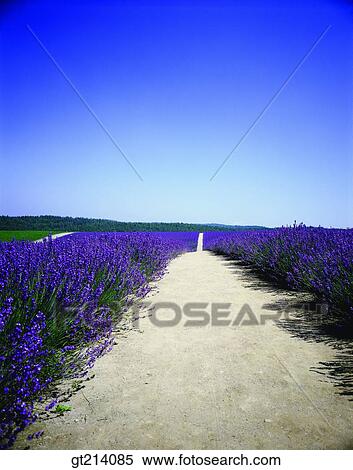 nature, landscape, scenery, scene, outdoor, exterior, day View Large Photo Image Stock Photography - nature, landscape, scenery, scene, outdoor, exterior, day. Fotosearch