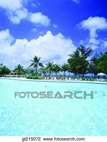 Stock Image - outdoor pool, tourist spot, sightseeing resort, beauty spot, palm, cloud, outdoor. Fotosearch