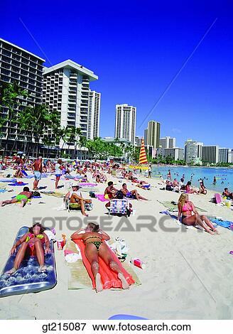 sandy beach, sandy beach, beach, resort, rest area, playground, summer residentssummer visitor View Large Photo Image Stock Photo - sandy beach, sandy beach, beach, resort, rest area, playground, summer residentssummer visitor. Fotosearch