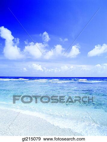 Stock Photo - sea, horizon, horizontal line, sky, seashore, coast, seashore. Fotosearch