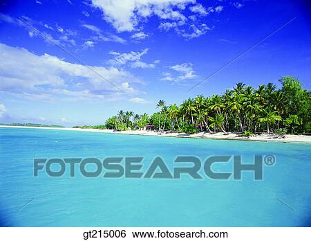 Stock Photograph - sea, palm, sky, cloud, outdoor, exterior, day. Fotosearch