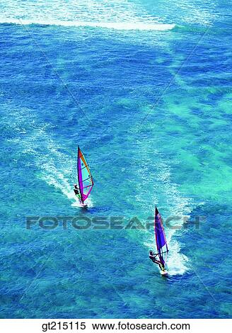 sea, windsurfing, leisure, leports, leisure sports, vacation, holidays View Large Photo Image Stock Photography - sea, windsurfing, leisure, leports, leisure sports, vacation, holidays. Fotosearch