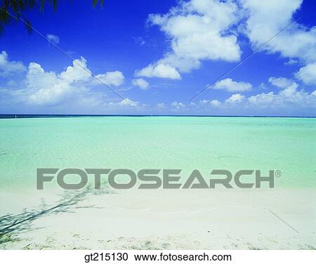 Stock Image - seashore, coast, sea, cloud, horizon, horizontal line, sandy. Fotosearch