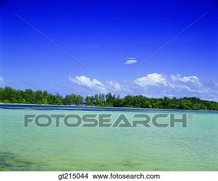 seashore, coast, sea, forest, trees, woods, sky View Large Photo Image Picture - seashore, coast, sea, forest, trees, woods, sky. Fotosearch