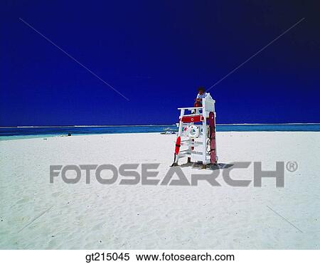 seashore, coast, sea, forest, trees, woods, sky View Large Photo Image Stock Photography - seashore, coast, sea, forest, trees, woods, sky. Fotosearch