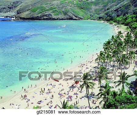 Stock Image - seashore, coast, sea, rest area, playground, palmtree, vacation. Fotosearch