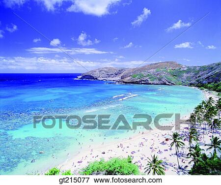 seashore, coast, sea, sand, rest area, playground, seashore View Large Photo Image Stock Photo - seashore, coast, sea, sand, rest area, playground, seashore. Fotosearch