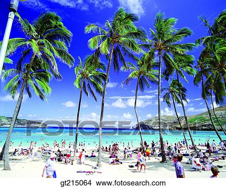 Picture - seashore, sandy beach, beach, sandy beach, person, outdoor, exterior. Fotosearch