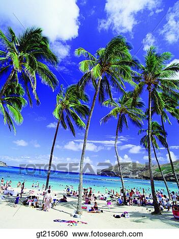 Stock Image - seashore, sandy beach, beach, sandy beach, person, outdoor, exterior. Fotosearch