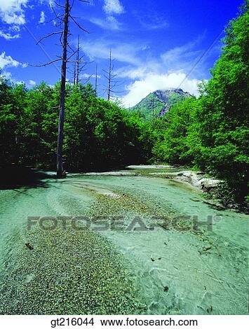 Picture - nature, landscape, scenery, scene, riverside, river, valley. Fotosearch