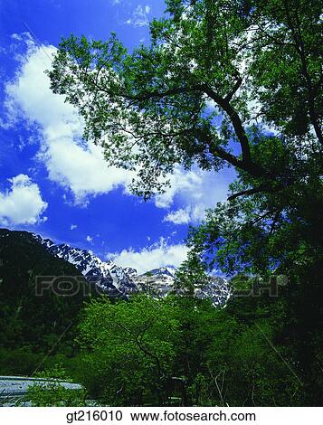 nature, landscape, scenery, scene, outdoor, exterior, day View Large Photo Image Stock Image - nature, landscape, scenery, scene, outdoor, exterior, day. Fotosearch