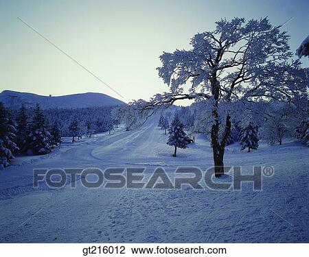 nature, landscape, scenery, scene, mountain, winter, snowscape View Large Photo Image Stock Image - nature, landscape, scenery, scene, mountain, winter, snowscape. Fotosearch