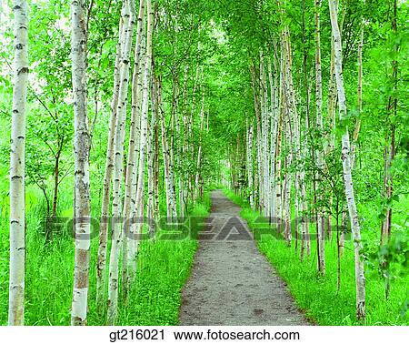 nature, landscape, scenery, scene, lane, streetmountain, road View Large Photo Image Stock Image - nature, landscape, scenery, scene, lane, streetmountain, road. Fotosearch