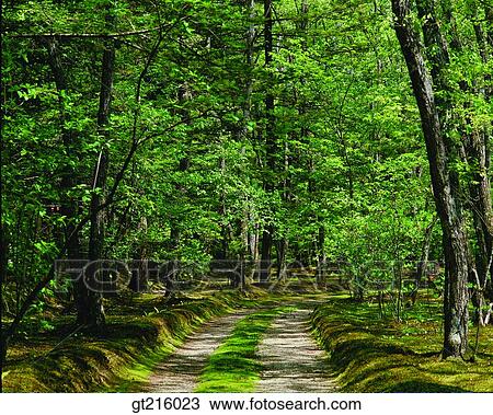 nature, landscape, scenery, scene, outdoor, exterior, day View Large Photo Image Stock Image - nature, landscape, scenery, scene, outdoor, exterior, day. Fotosearch