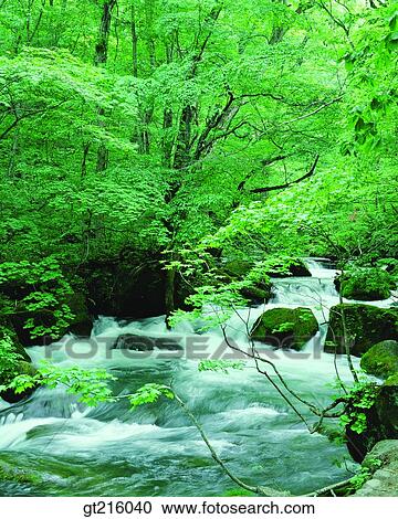 nature, landscape, scenery, scene, valley, rock, stone View Large Photo Image Stock Image - nature, landscape, scenery, scene, valley, rock, stone. Fotosearch