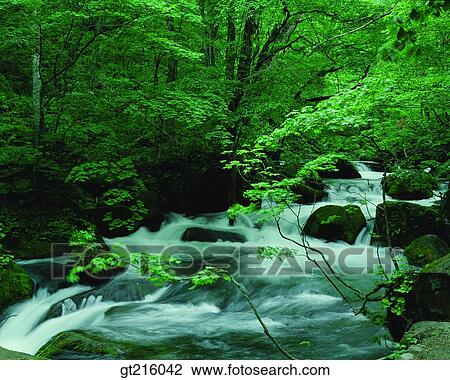 nature, landscape, scenery, scene, valley, rock, stone View Large Photo Image Stock Image - nature, landscape, scenery, scene, valley, rock, stone. Fotosearch