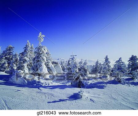 nature, landscape, scenery, scene, mountain, snowscape, winter View Large Photo Image Stock Image - nature, landscape, scenery, scene, mountain, snowscape, winter. Fotosearch