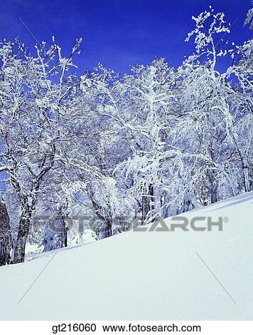 nature, landscape, scenery, scene, mountain, winter, snowscape View Large Photo Image Stock Image - nature, landscape, scenery, scene, mountain, winter, snowscape. Fotosearch