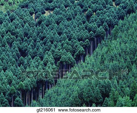 nature, landscape, scenery, scene, outdoor, exterior, day View Large Photo Image Stock Image - nature, landscape, scenery, scene, outdoor, exterior, day. Fotosearch