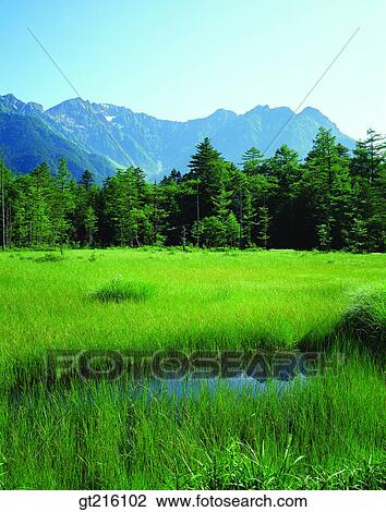 nature, landscape, scenery, scene, mountain, marsh, wet land View Large Photo Image Stock Image - nature, landscape, scenery, scene, mountain, marsh, wet land. Fotosearch