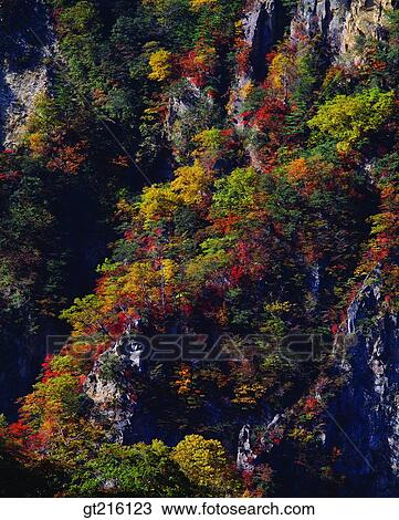 Stock Image - nature, landscape, scenery, scene, nature, mountain, autumn. Fotosearch