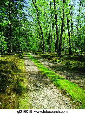 nature, landscape, scenery, scene, outdoor, exterior, day View Large Photo Image Stock Photo - nature, landscape, scenery, scene, outdoor, exterior, day. Fotosearch