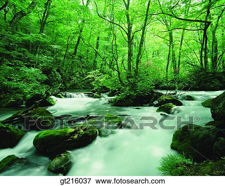 nature, landscape, scenery, scene, valley, rock, stone View Large Photo Image Stock Photo - nature, landscape, scenery, scene, valley, rock, stone. Fotosearch