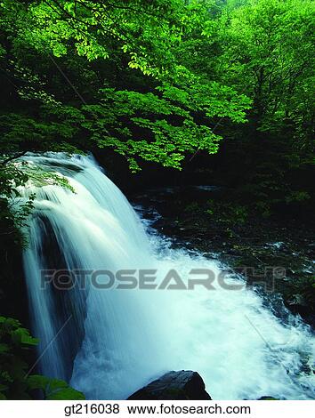 Stock Photo - nature, landscape, scenery, scene, valley, forest, trees. Fotosearch