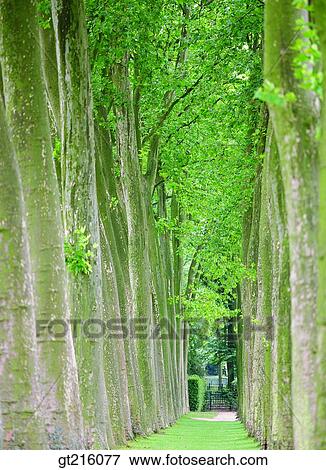 nature, landscape, scenery, scene, road, street, walks View Large Photo Image Stock Photo - nature, landscape, scenery, scene, road, street, walks. Fotosearch