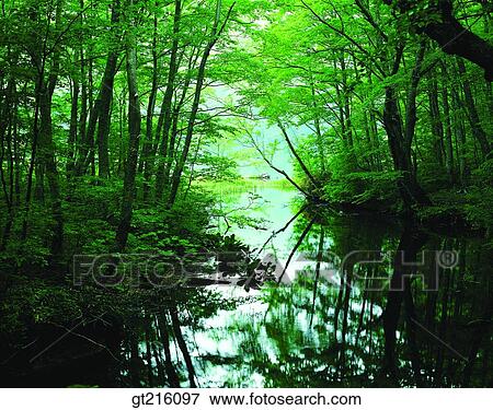 nature, landscape, scenery, scene, nature, river, mountain View Large Photo Image Stock Photo - nature, landscape, scenery, scene, nature, river, mountain. Fotosearch