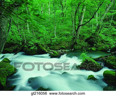 nature, landscape, scenery, scene, valley, rock, stone View Large Photo Image Stock Photograph - nature, landscape, scenery, scene, valley, rock, stone. Fotosearch