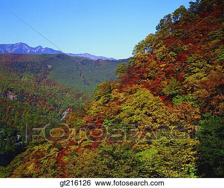 nature, landscape, scenery, scene, nature, mountain, autumn View Large Photo Image Stock Photograph - nature, landscape, scenery, scene, nature, mountain, autumn. Fotosearch