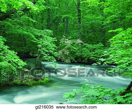 Stock Photography - nature, landscape, scenery, scene, valley, forest, trees. Fotosearch