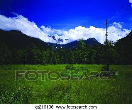 nature, mountain, cloud, tree, grass, meadow, grass View Large Photo Image Stock Photograph - nature, mountain, cloud, tree, grass, meadow, grass. Fotosearch