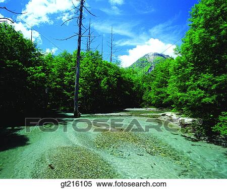 nature, river, mountain, forest, trees, woods, stream View Large Photo Image Stock Photography - nature, river, mountain, forest, trees, woods, stream. Fotosearch