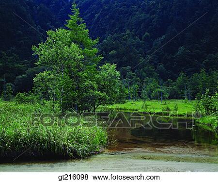 nature, river, mountain, lake, marsh, swamp, outdoor View Large Photo Image Stock Photo - nature, river, mountain, lake, marsh, swamp, outdoor. Fotosearch