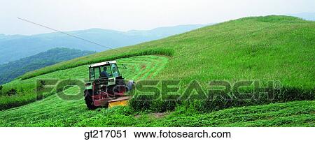 nature, landscape, scenery, scene, grass, mow, mowing View Large Photo Image Stock Image - nature, landscape, scenery, scene, grass, mow, mowing. Fotosearch