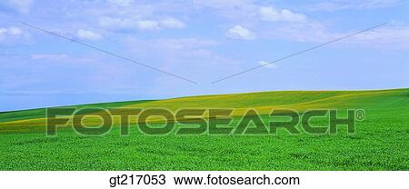 nature, landscape, scenery, scene, plain, field, grass View Large Photo Image Stock Image - nature, landscape, scenery, scene, plain, field, grass. Fotosearch